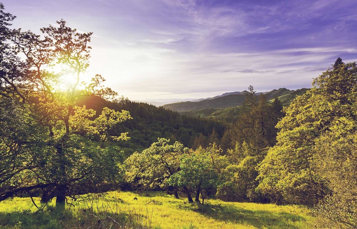Chiropractor in Newcastle, OK